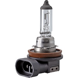 Lampadina alogena H11-24V/70W-PGJ19-2i