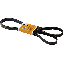 Keilrippenriemen 10PK 1502