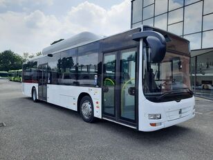 Bugscheibe grün-getönt 