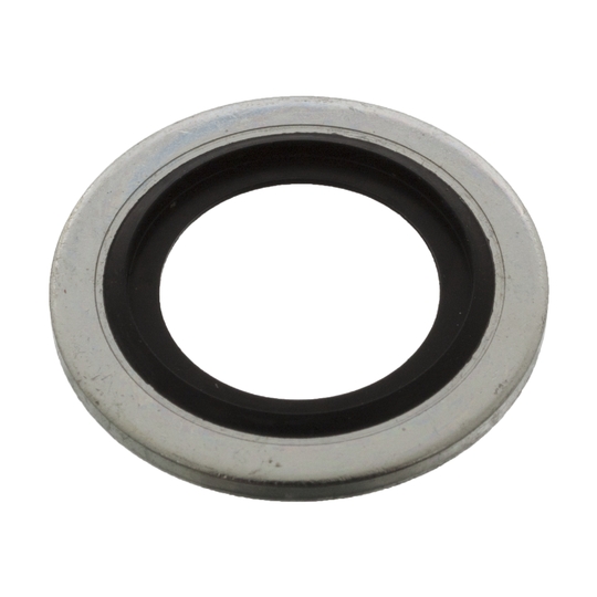 Dichtring mit Elastomerdichtlippe 16.3x24x1.5-ST/FKM1-80