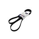 Cinghia trapezoidale 8PK2110HD