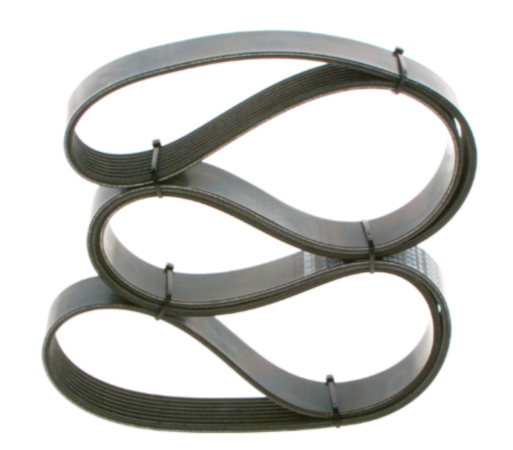 Cinghia a V 8PK 1955